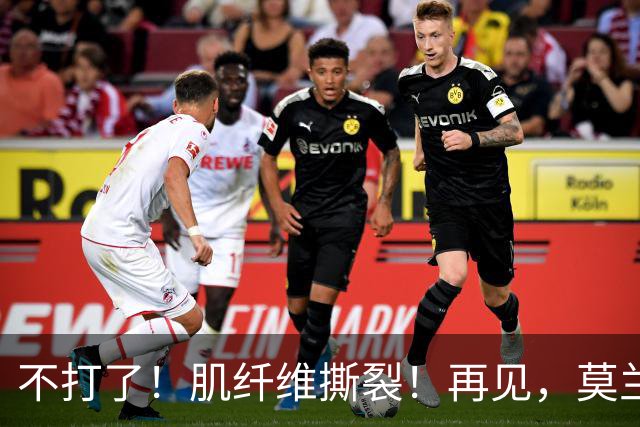 不打了！肌纤维撕裂！再见，莫兰特
