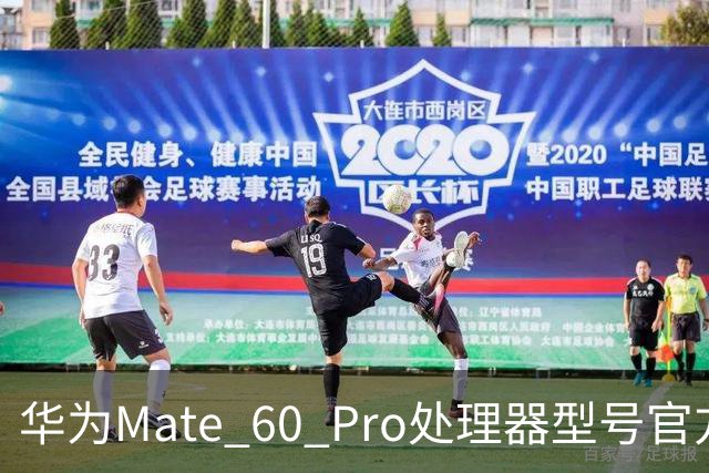 华为Mate 60 Pro处理器型号官方首次“揭秘”，搭载麒麟9000S与30、40、50、90“同台竞技”