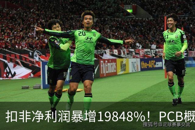 扣非净利润暴增19848%！PCB概念股，前十大股东新增神秘自然人